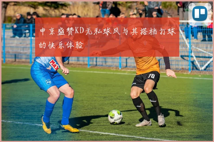 申京盛赞KD无私球风与其搭档打球的快乐体验